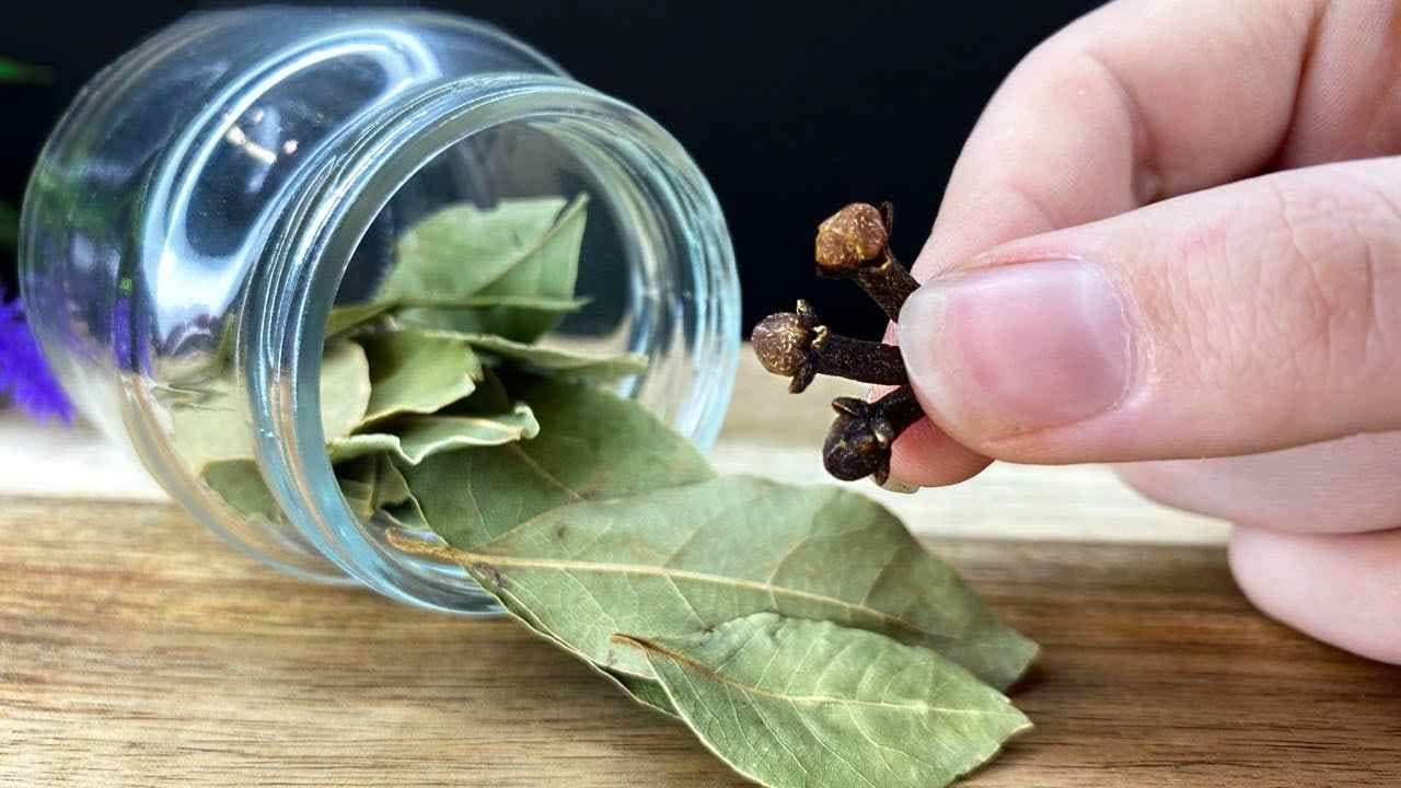 SE VOLETE OTTENERE CAPELLI SUPER LUNGHI E SANI QUESTO È IL MIGLIOR