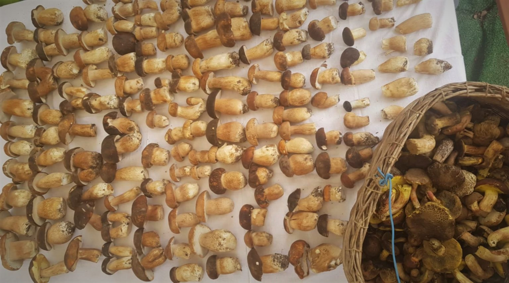 Questa immagine ha l'attributo alt vuoto; il nome del file è image-9-1024x569.png