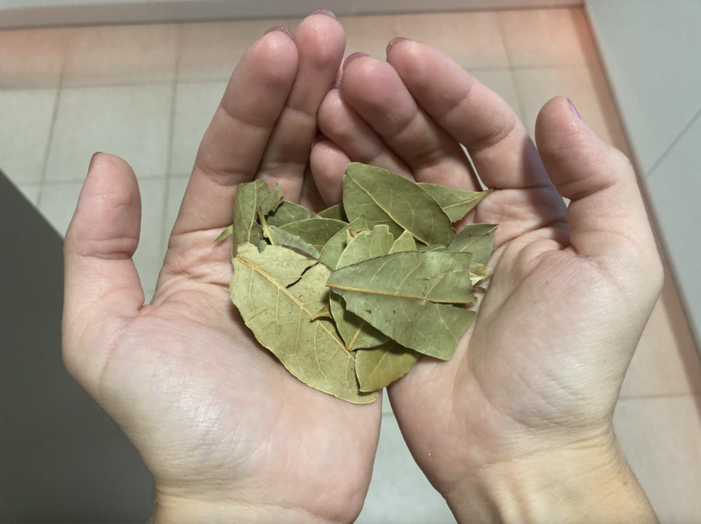 Questa immagine ha l'attributo alt vuoto; il nome del file è image-78-1024x766.png