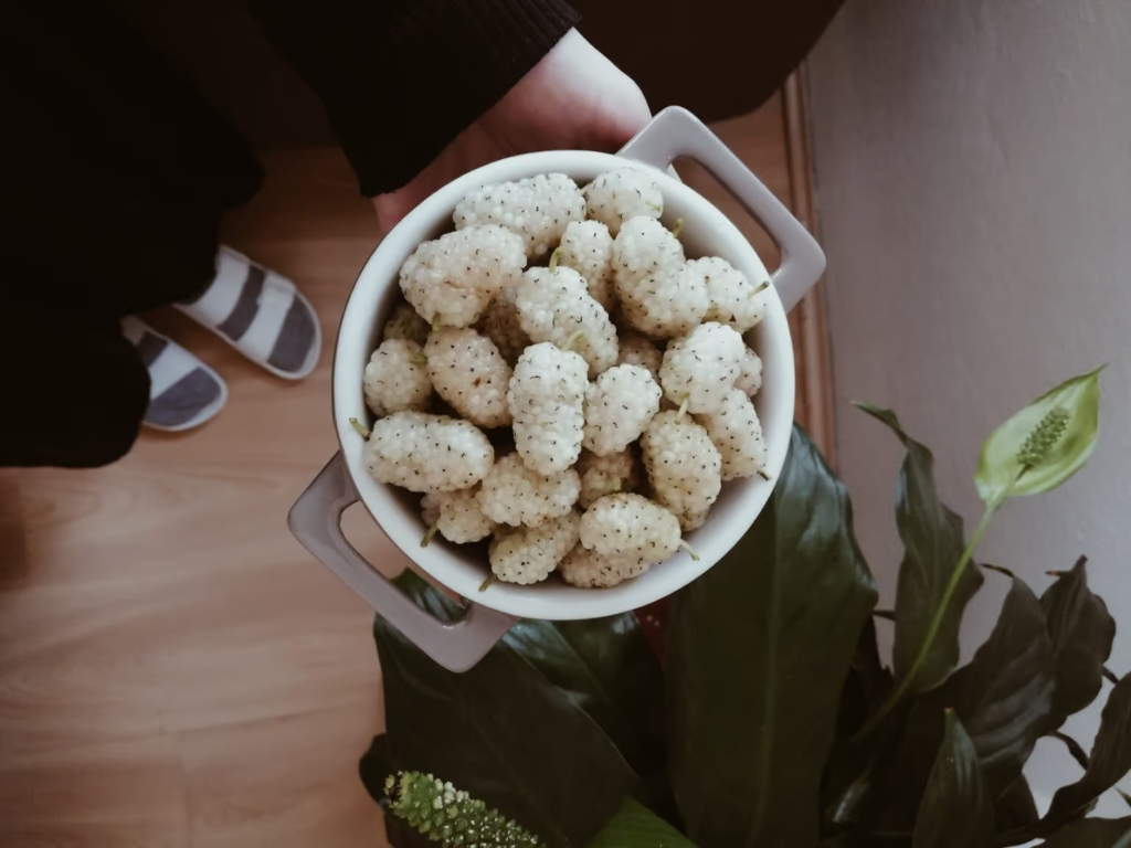 This image has an empty alt attribute; its file name is image-28-1024x768.png