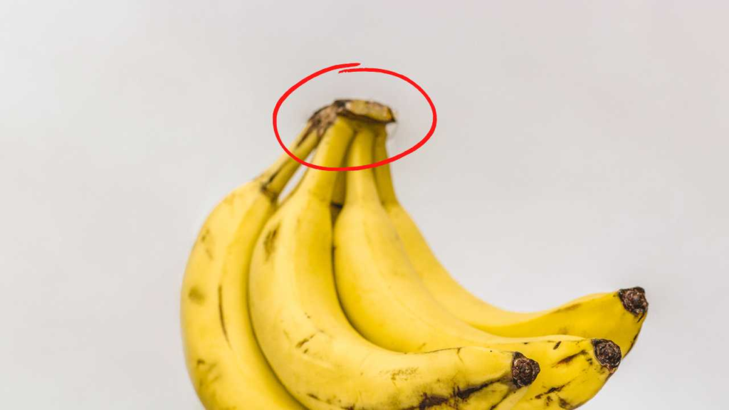 This image has an empty alt attribute; its file name is image-886-1024x576.png