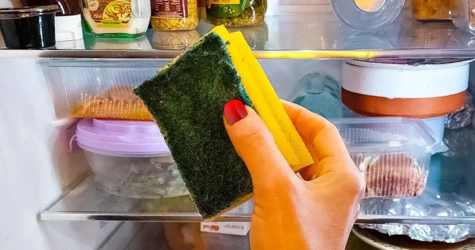 This image has an empty alt attribute; its file name is image-915.png